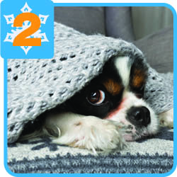extra blankets